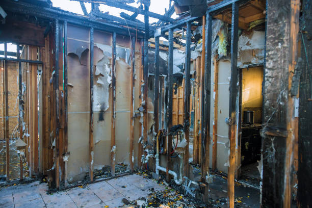Professional Fire Damage Removal technician working in Royse City, TX